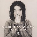 Bjork - Venus as a Boy Parker Remix