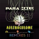 Para Halu - Adrenochrome Yarn Remix