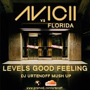 Avichi vs Florida - Levels Good Feeling DJ Urtenoff Mush Up