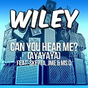 Wiley feat Skepta JME Miss D - Can you hear me