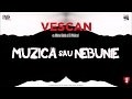 sfgh - vescan feat mihaia muzica sau nebunie