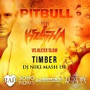 Pitbull Ft Kesha VS Alexx Slam - Timber DJ Niki Mash Up Radio Edit