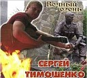 Сергей Тимошенко - Блеск разбитых зеркал