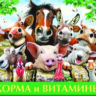 Корма Для