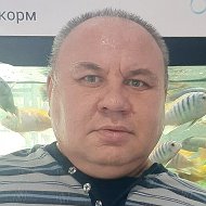 Игорь Котов