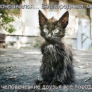 😽😿m҈ар҈и҉҈я 😺помощьбездомным♥❊