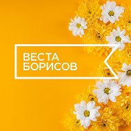 Веста Борисов