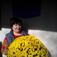 Светлана Кульпанова