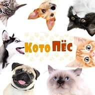 Кото Пёс