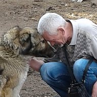 Владимир Мальцев