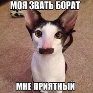 Борат Приятный