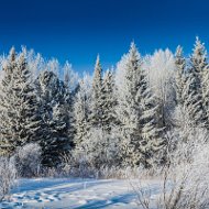 Серега Городов