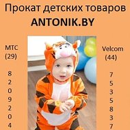 Прокат Антоник