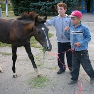 Максим Челебий