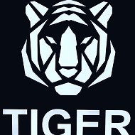 Tiger Пыть