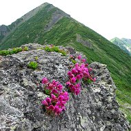 Наталия Земская