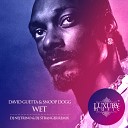 David Guetta Snoop Dogg - Wet DJ Nejtrino DJ Stranger Radio Mix