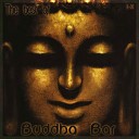 Buddha Bar CD Series - Out Of Phase Desire Tiger Mix