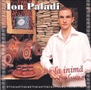 066 Ion Paladi - Azi e nunta n sat la noi