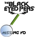 Black Eyed Peas - Missing You Dj Ndy Remix