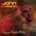 John O Callaghan feat Lo Fi Sugar - Every Lesson Learned Original Mix