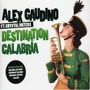 Alex Gaudino - Destination Calabria DJ Viduta Remix