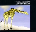 Mackrosoft The - The Immortality Project