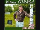 Valeriu Cornea - Fratii mei