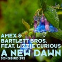 Amex Bartlett Bros feat Lizzie Curious - A New Dawn Fabio XB Rework
