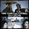 Ying Yang Twins VS Pit Bull - Go Girl featuring Trina Young Bo