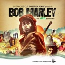 Bob Marley - So Much Trouble in the World