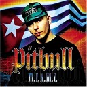 Pitbull - Hurry Up And Wait