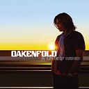 Paul Oakenfold Feat Ryan Ted - The Way I Feel