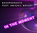 Bassmonkeys feat Abigail Bailey - In The Moment Club Mix