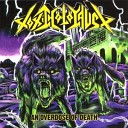 Toxic Holocaust - War Is Hell
