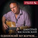 Дмитрий Василевский - Одинокий мужчина за…