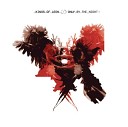 Kings Of Leon - Delusion