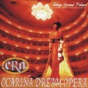 Quinn Yuri Ogawa Ocarina Bootleg - Vissi D arte Vissi D amore Opera Dream