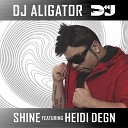 DJ Aligator Project feat Heidi Degn - Shine Crapman edit