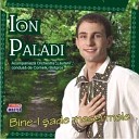 Ion Paladi - Azi nunta n sat la noi