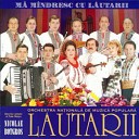 Lautarii - Sarba De Concert