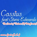 Cassius feat Steve Edwards - The Sound of Violence Dj Petroff remix