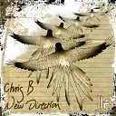 Chris B - In Haus Musik Original Mix