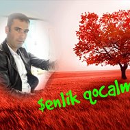 Şenlik Qocalmaz