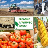 Сельхозагроинфо Крым