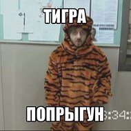 Тигра Попрыгун