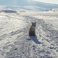 Наталья Оболонская