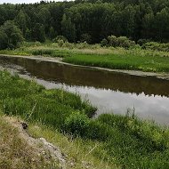 Наталья Токарева