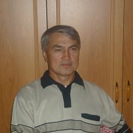 Анатолий Чекушкин