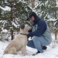 Сергей Плужников